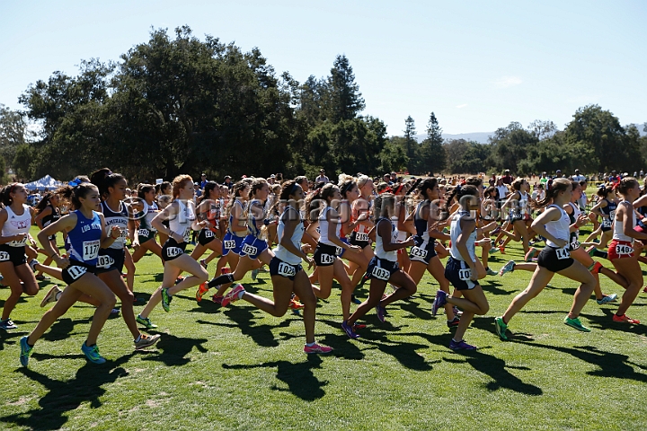 2015SIxcHSSeeded-171.JPG - 2015 Stanford Cross Country Invitational, September 26, Stanford Golf Course, Stanford, California.